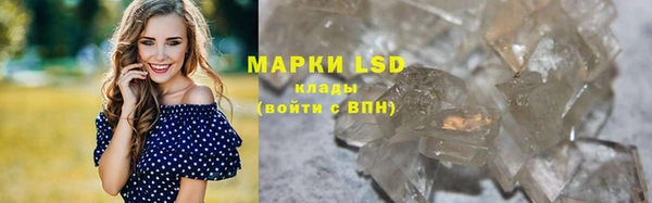 дживик Краснослободск