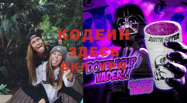 дживик Краснослободск