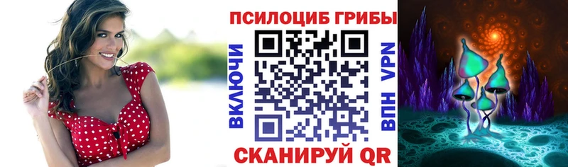 Галлюциногенные грибы Psilocybine cubensis Димитровград