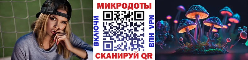 Купить закладки  Димитровград  Псилоцибиновые грибы MAGIC MUSHROOMS 